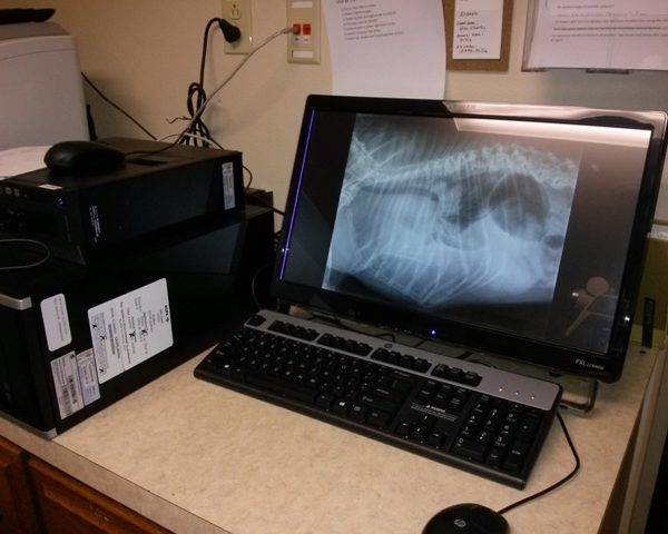 We have convenient and detailed digital x-ray services.